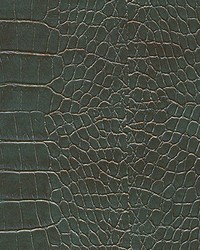 Hogan-nj 541 Amazon by   