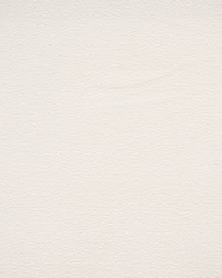 Hoyt 912 Snowfall by  Lee Jofa 