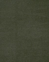 Hoyt 918 Moss by  Lee Jofa 