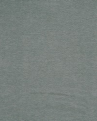 Hoyt 936 Sage by  Lee Jofa 