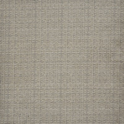 Intaglio 602 Rattan in PW-VOL.IV SMOKESHOW Beige POLYESTER/45%  Blend Fire Rated Fabric High Wear Commercial Upholstery CA 117  NFPA 260   Fabric