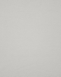 Indiana 118 Chinchilla by   