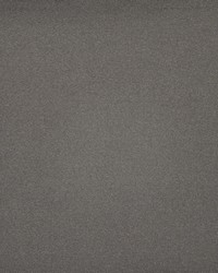 Indiana 126 Sable by   