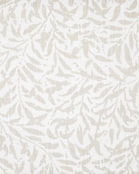 Ingleby 513 Sand Dollar by   