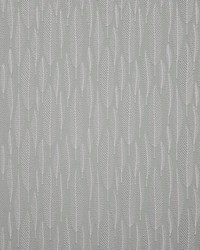 Juniper 641 Sapling by   