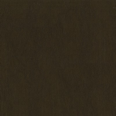 Jackson 606 Umber in JACKSON Brown Upholstery 100%  Blend Fire Rated Fabric Animal Print  High Wear Commercial Upholstery Solid Faux Leather Flame Retardant Vinyl  Leather Look Vinyl  Fabric