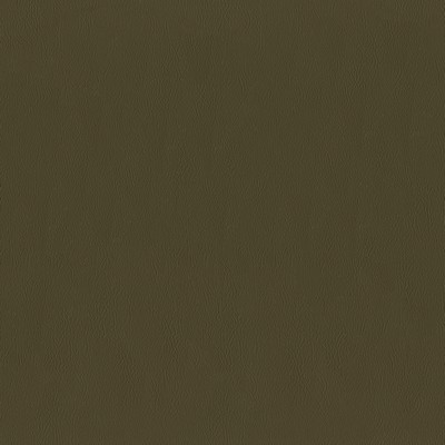 Jackson 628 Beaver in JACKSON Brown Upholstery 100%  Blend Fire Rated Fabric Animal Print  High Wear Commercial Upholstery Solid Faux Leather Flame Retardant Vinyl  Leather Look Vinyl  Fabric