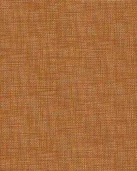 Joss-nj 1058 Kumquat by   