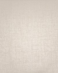 Jagger 420 Beluga by  Robert Allen 