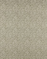 Jasmine 510 Oregano by   