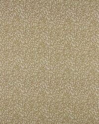 Jasmine 522 Nugget by   