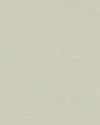 Jiavani-dl 116 Alpaca by   