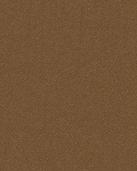 Jiavani-dl 119 Teddy by   