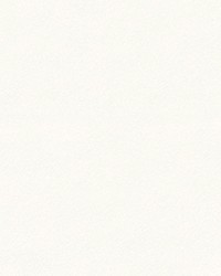 Jiavani-dl 121 Snow by   