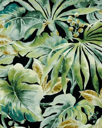 Kinabalu 516 Woodland by   