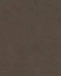 Kiki-nj 826 Shale by   