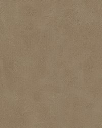 Kiki-nj 827 Shittake by   