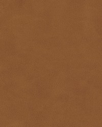 Kiki-nj 828 Butternut by   