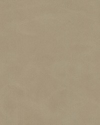 Kiki-nj 829 Morel by   