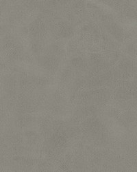 Kiki-nj 831 Pavement by   