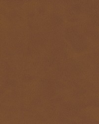 Kiki-nj 833 Canyon by   