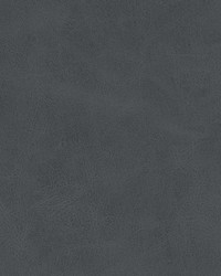 Kiki-nj 835 Trout by   