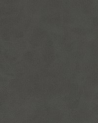 Kiki-nj 838 Graphite by   