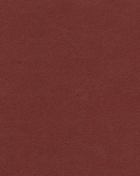 Knack-nj 1275 Rhubarb by   