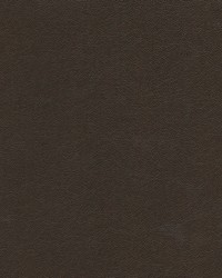 Knack-nj 1282 Chocolate by   