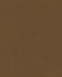 Knack-nj 1284 Safari by   