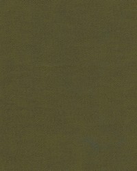 Knack-nj 1288 Algae by   