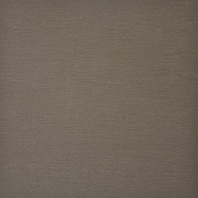 Luxor 23 Anise in EASY RIDER III PVC  Blend Fire Rated Fabric High Wear Commercial Upholstery Solid Faux Leather CA 117  NFPA 260   Fabric