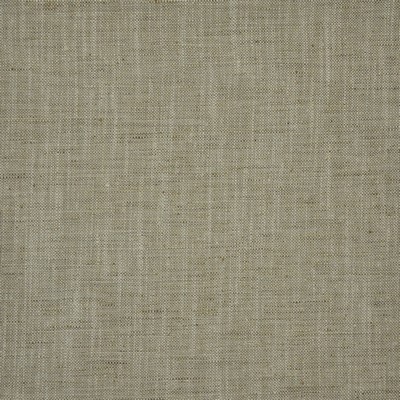 Lacebark 133 Jute in COLOR WAVES-NEUTRAL TERRITORY POLYESTER  Blend Medium Duty  Fabric