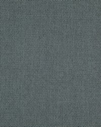 Light Year 205 Goliath by  Maxwell Fabrics 