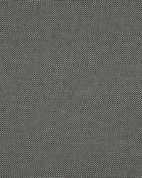 Light Year 206 Graphite by  Maxwell Fabrics 