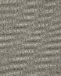 Light Year 207 Pinecone by  Maxwell Fabrics 