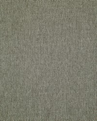 Light Year 213 Griffin by  Maxwell Fabrics 