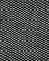 Light Year 214 Raven by  Maxwell Fabrics 