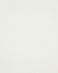 Light Year 216 Swan by  Maxwell Fabrics 