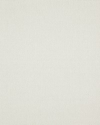 Light Year 217 Parchment by  Maxwell Fabrics 