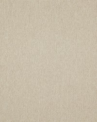 Light Year 220 Raffia by  Maxwell Fabrics 