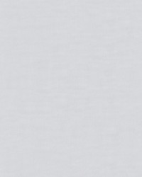 Leviosa 114 Pigeon by   