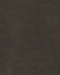 Leon-nj 320 Barrel by   