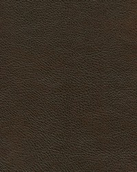 Leon-nj 321 Americana by   