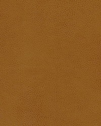 Leon-nj 323 Peanut by   