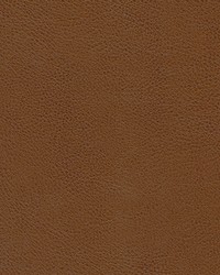 Leon-nj 326 Milk Chocolate by   