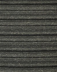 Longitude 820 Whale by   