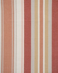 Lipton 715 Persimmon by  Scalamandre 