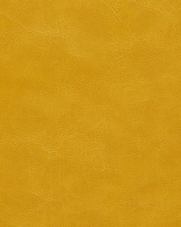 Marzano-nj 265 Turmeric by   