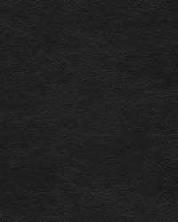 Marzano-nj 266 Obsidian by   